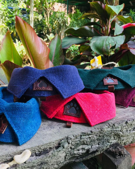 The Friends of Felix Collar